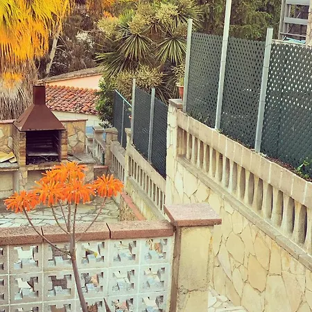 Mas Blau By Host&joy *