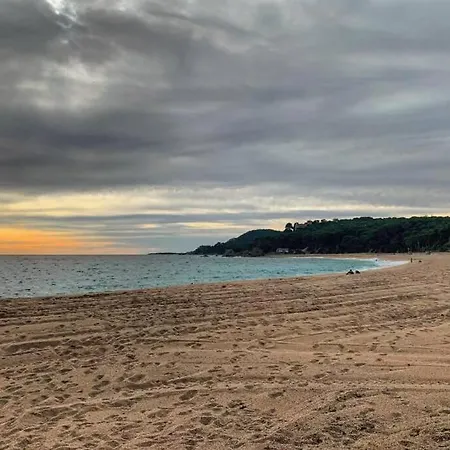 Mas Blau By Host&joy *