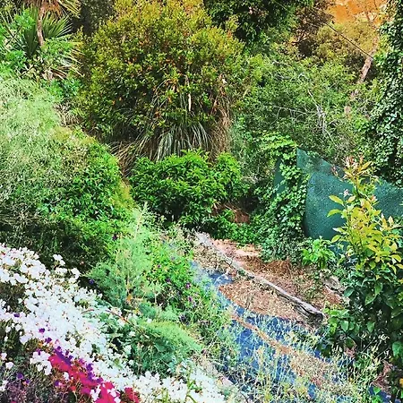 Mas Blau By Host&joy 빌라