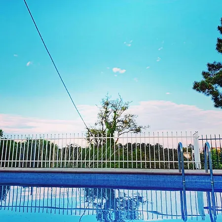 Mas Blau
