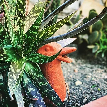 Mas Blau By Host&joy Villa Lloret de Mar